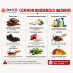 Common Household Hazards