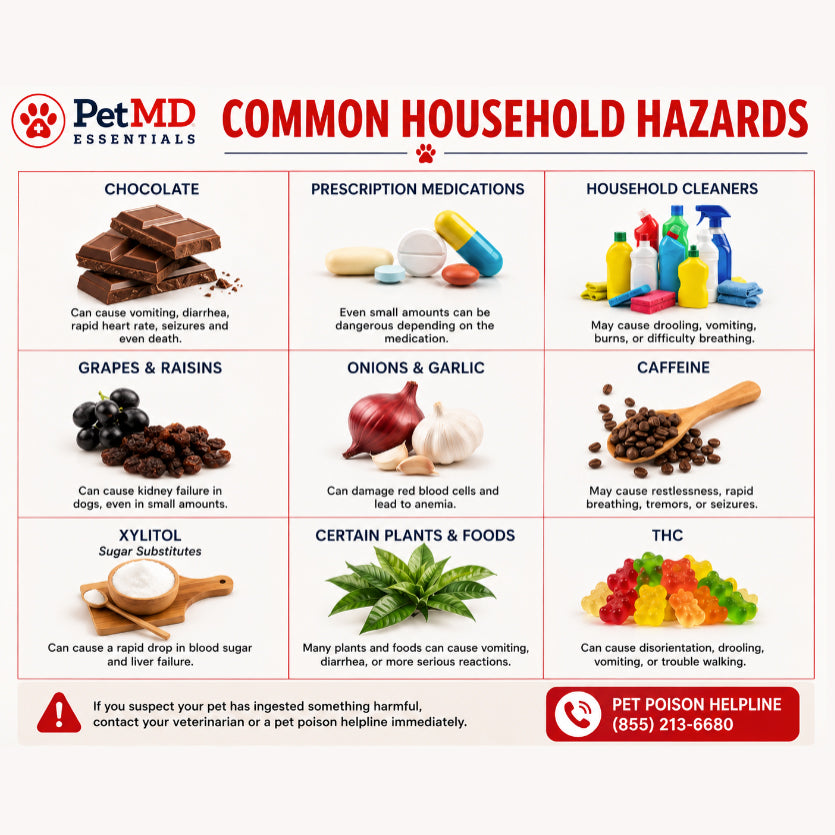 Common Household Hazards
